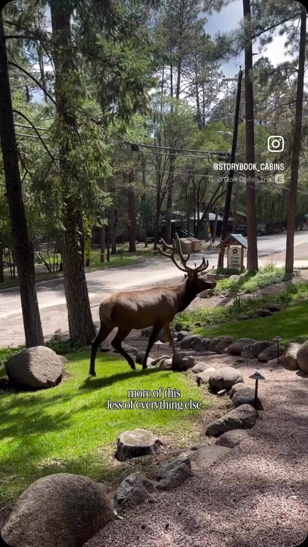 Post 3 by Bella Cabins on Instagram (video)