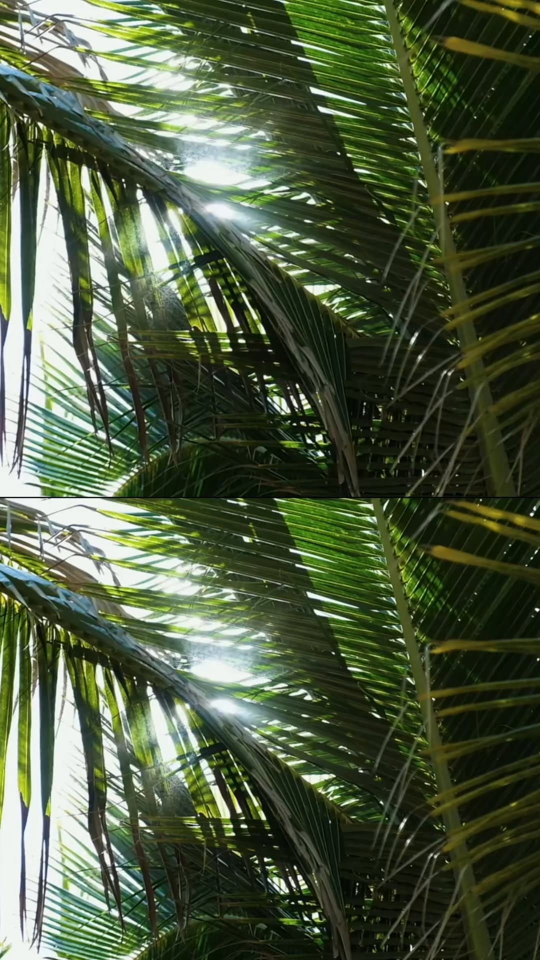 Post 3 by Brent May on Instagram (video)
