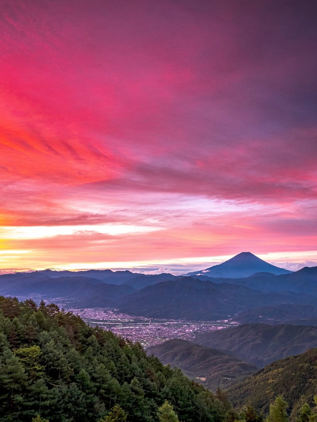 Post 7 by miki on Instagram (image)
