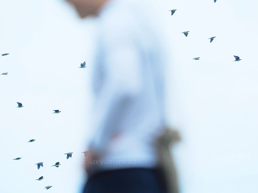 Post 1 by Mariko Yamamoto  写真家 山本まりこ on Instagram (image)