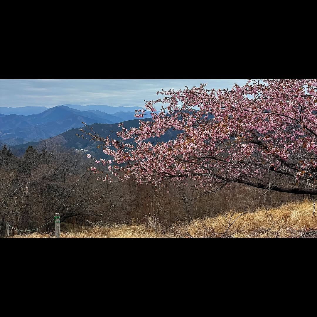 Post 6 by k.iwama on Instagram (image)
