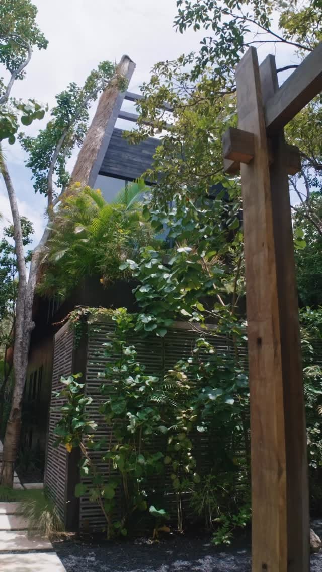 Post 5 by Malva Realty | Tulum Real Estate on Instagram (video)