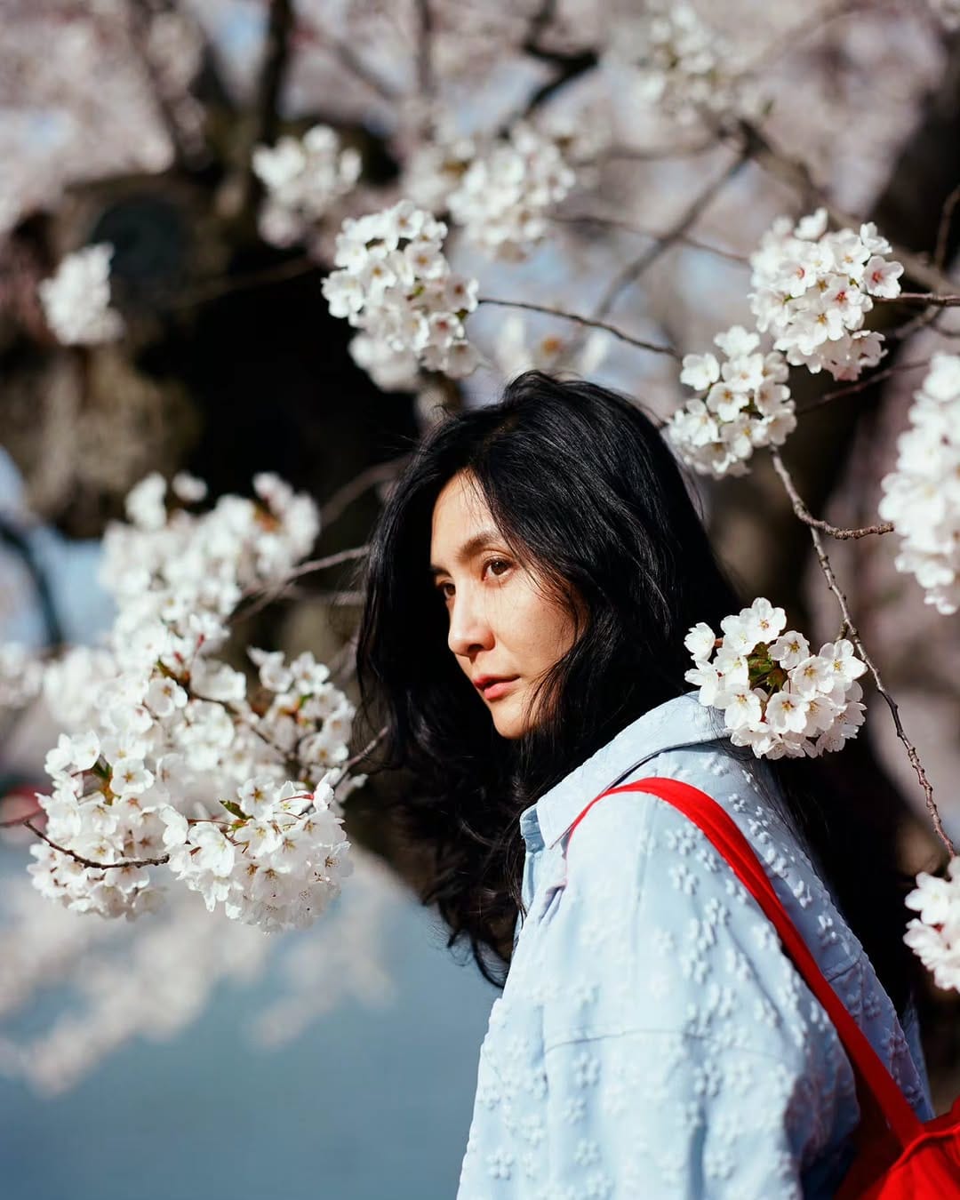 Post 6 by Sean Marc Lee / 李子仁 on Instagram (carousel)