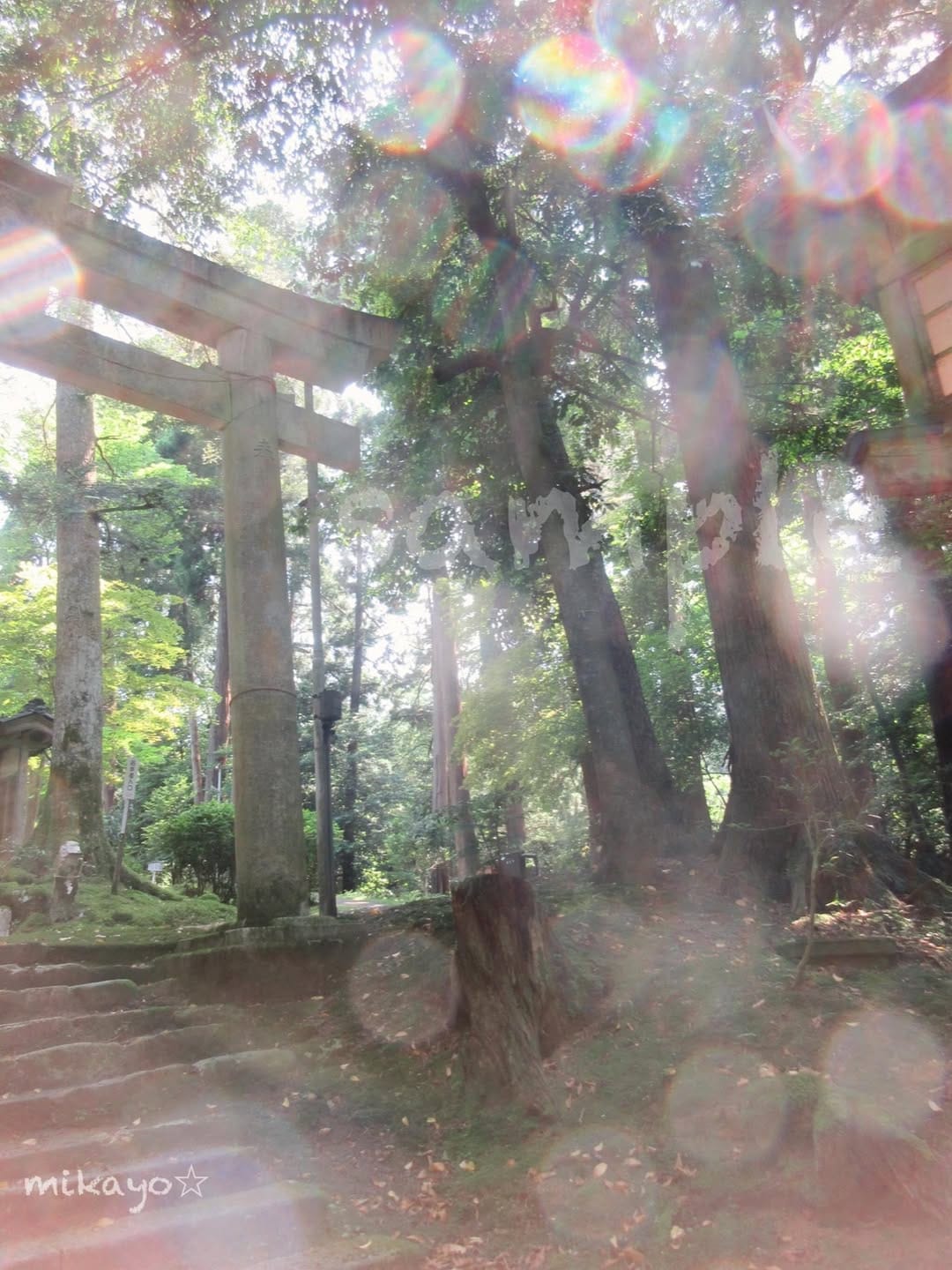 Post 3 by 川原 美香代 on Instagram (image)