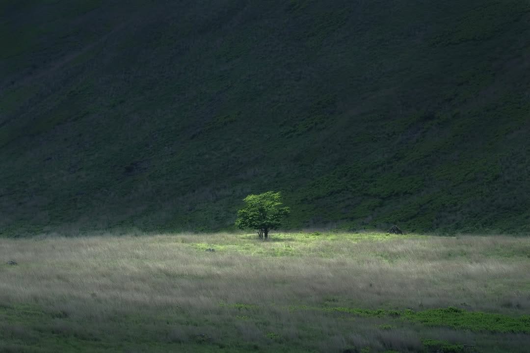 Post 6 by MISAKI NAGAO | Landscape Photo Design on Instagram (carousel)