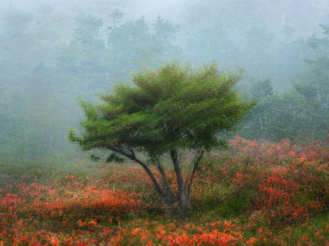 Post 3 by MISAKI NAGAO | Landscape Photo Design on Instagram (carousel)
