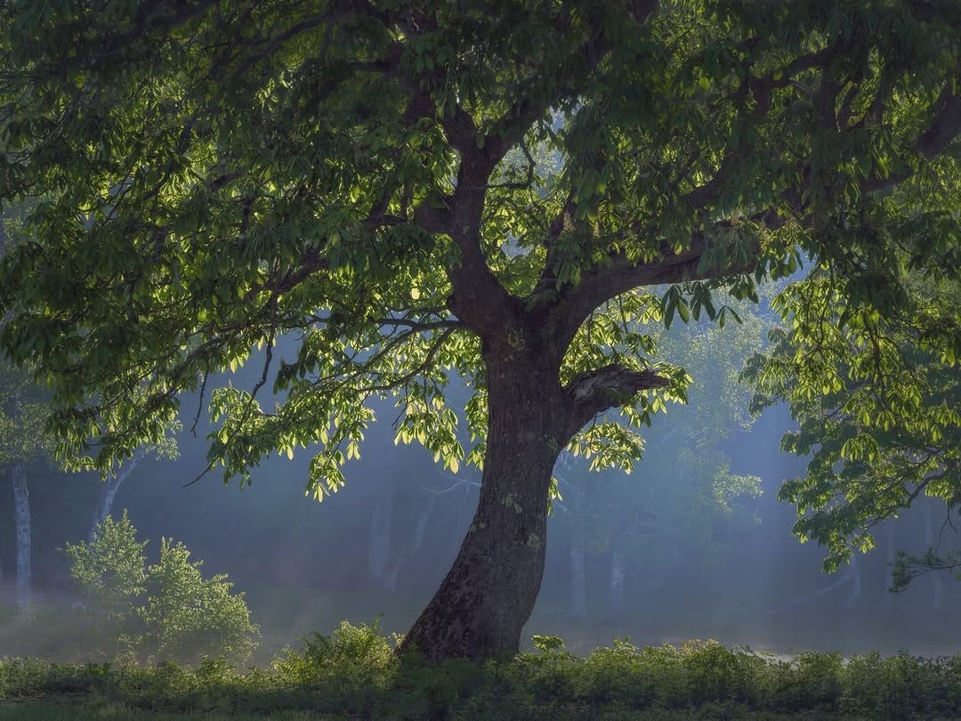 Post 7 by MISAKI NAGAO | Landscape Photo Design on Instagram (carousel)