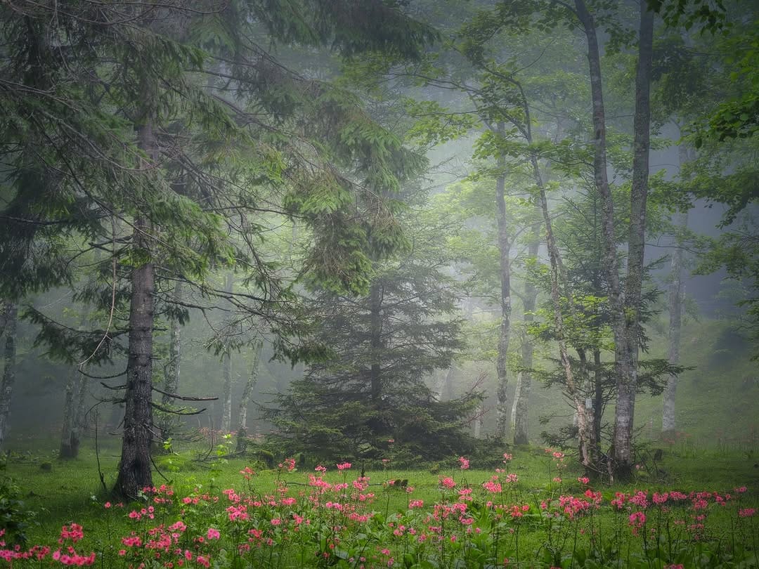 Post 4 by MISAKI NAGAO | Landscape Photo Design on Instagram (carousel)