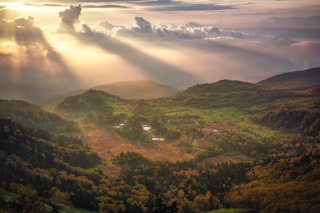 Post 3 by Mitsuki Koyama on Instagram (image)