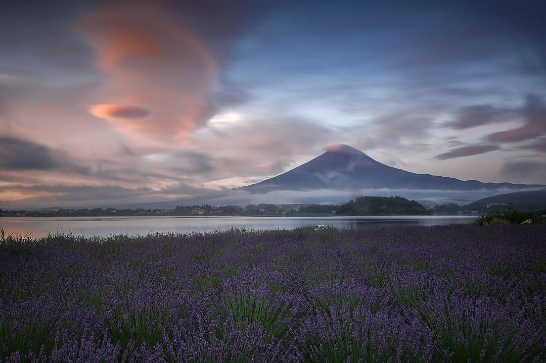 Post 6 by Mitsuki Koyama on Instagram (image)