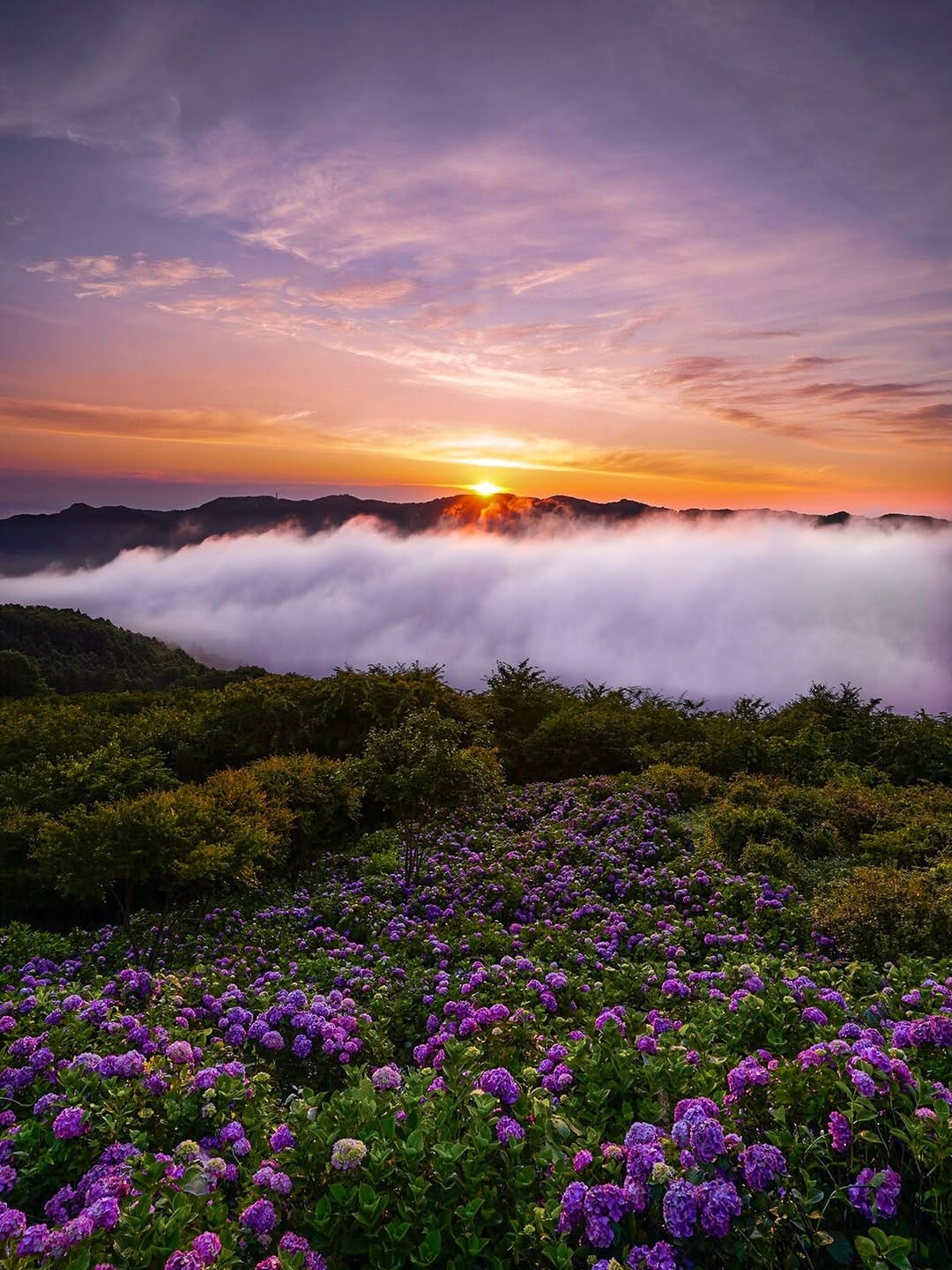 Post 7 by テル 日本 風景 絶景 富士山  花火 JAPAN on Instagram (image)