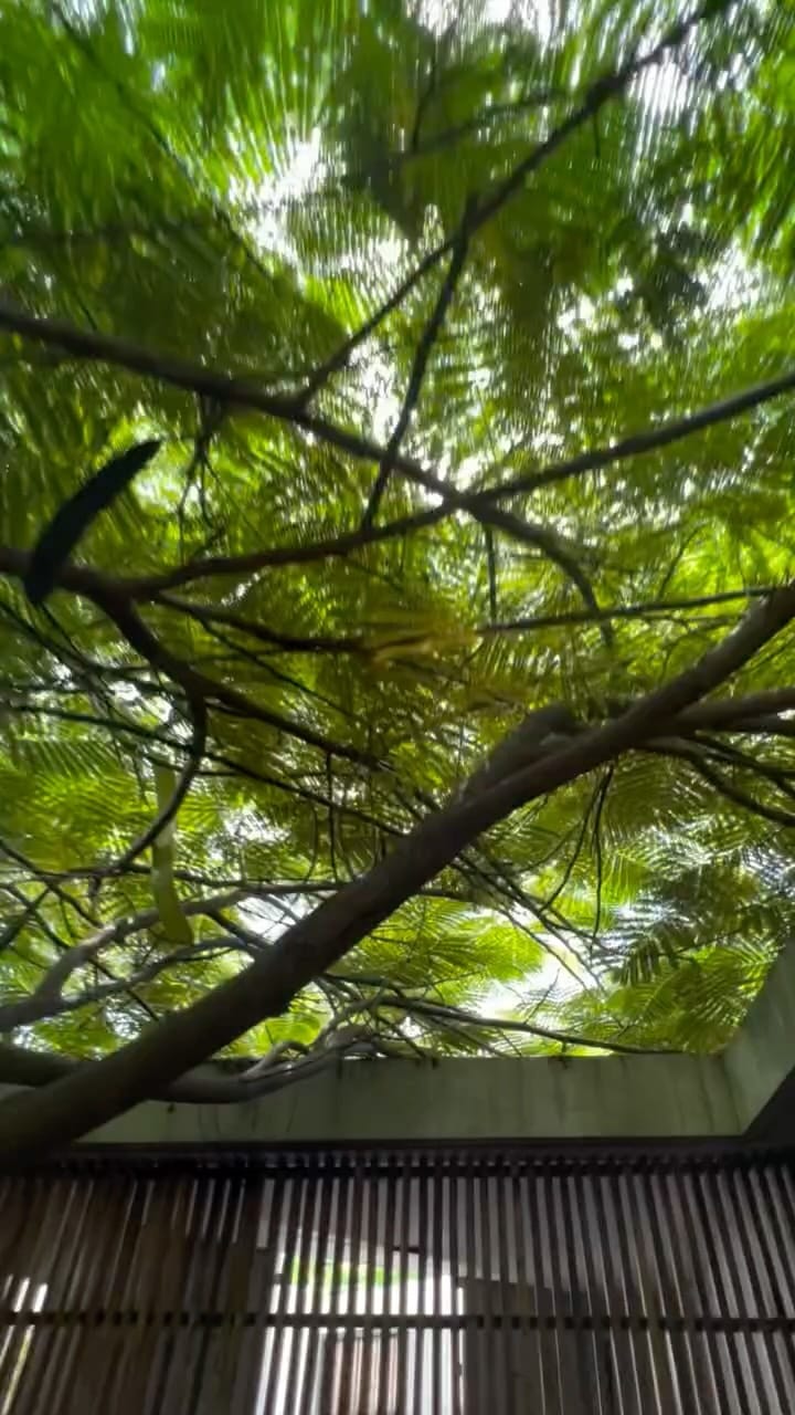 Post 4 by Casa Altanera on Instagram (video)