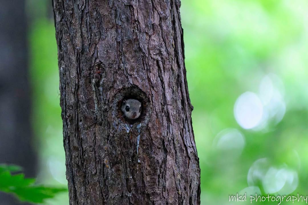 Post 7 by Minoru Kudo on Instagram (image)
