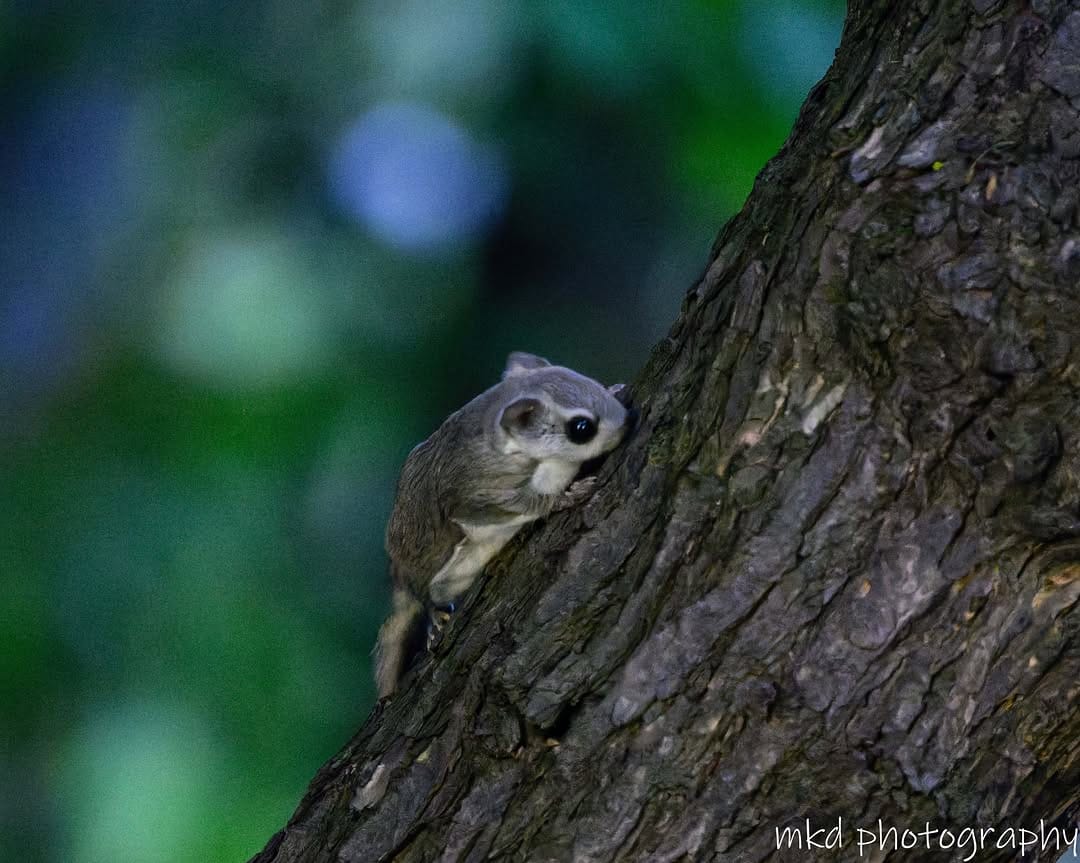 Post 1 by Minoru Kudo on Instagram (image)