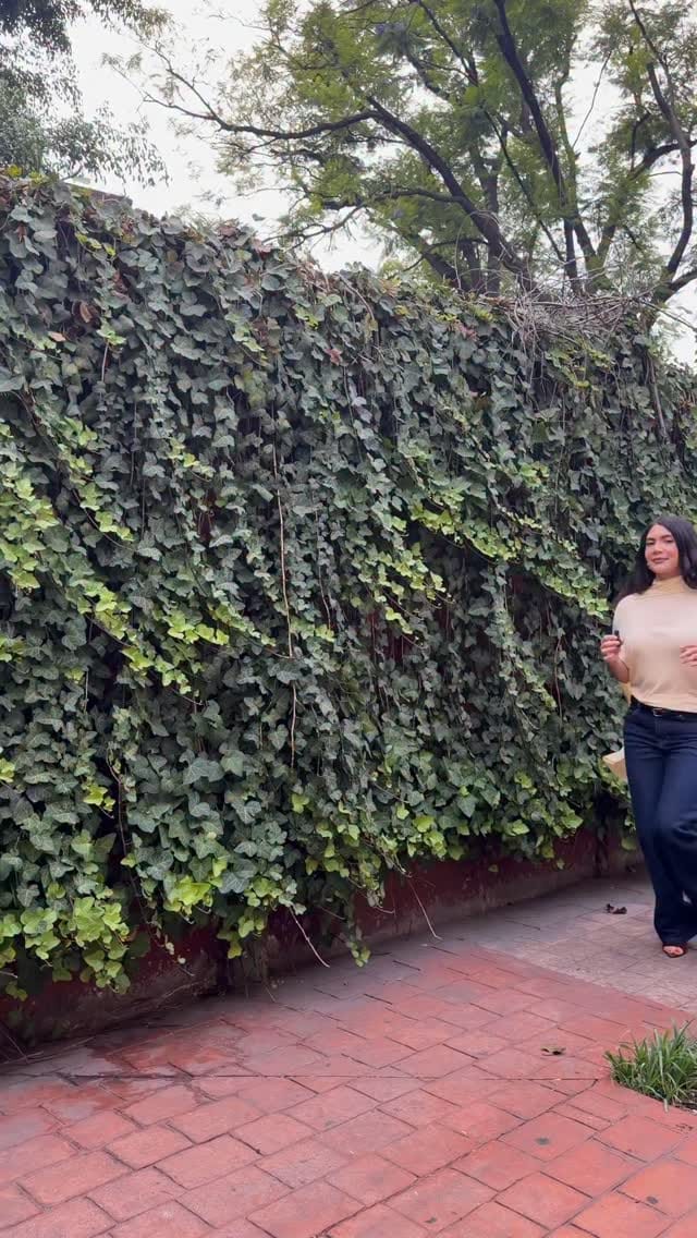 Post 5 by Paula Pernicone | Real Estate Advisor on Instagram (video)