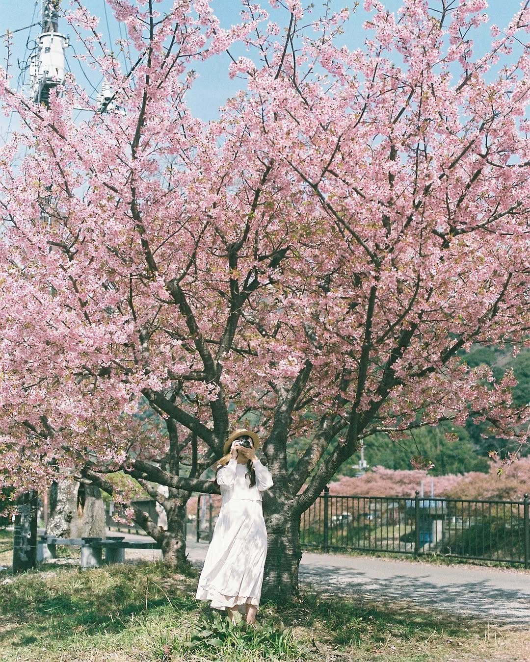 Post 3 by nao on Instagram (image)