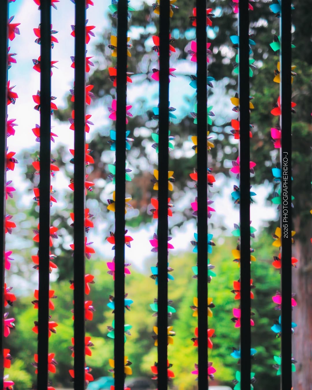 Post 1 by KO-J on Instagram (image)