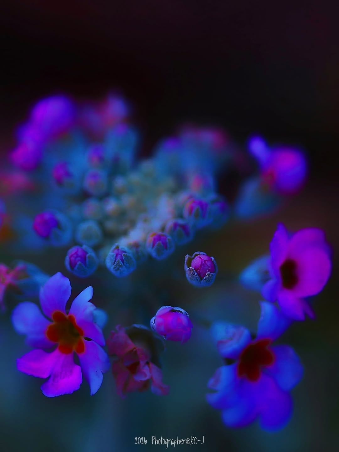 Post 8 by KO-J on Instagram (image)