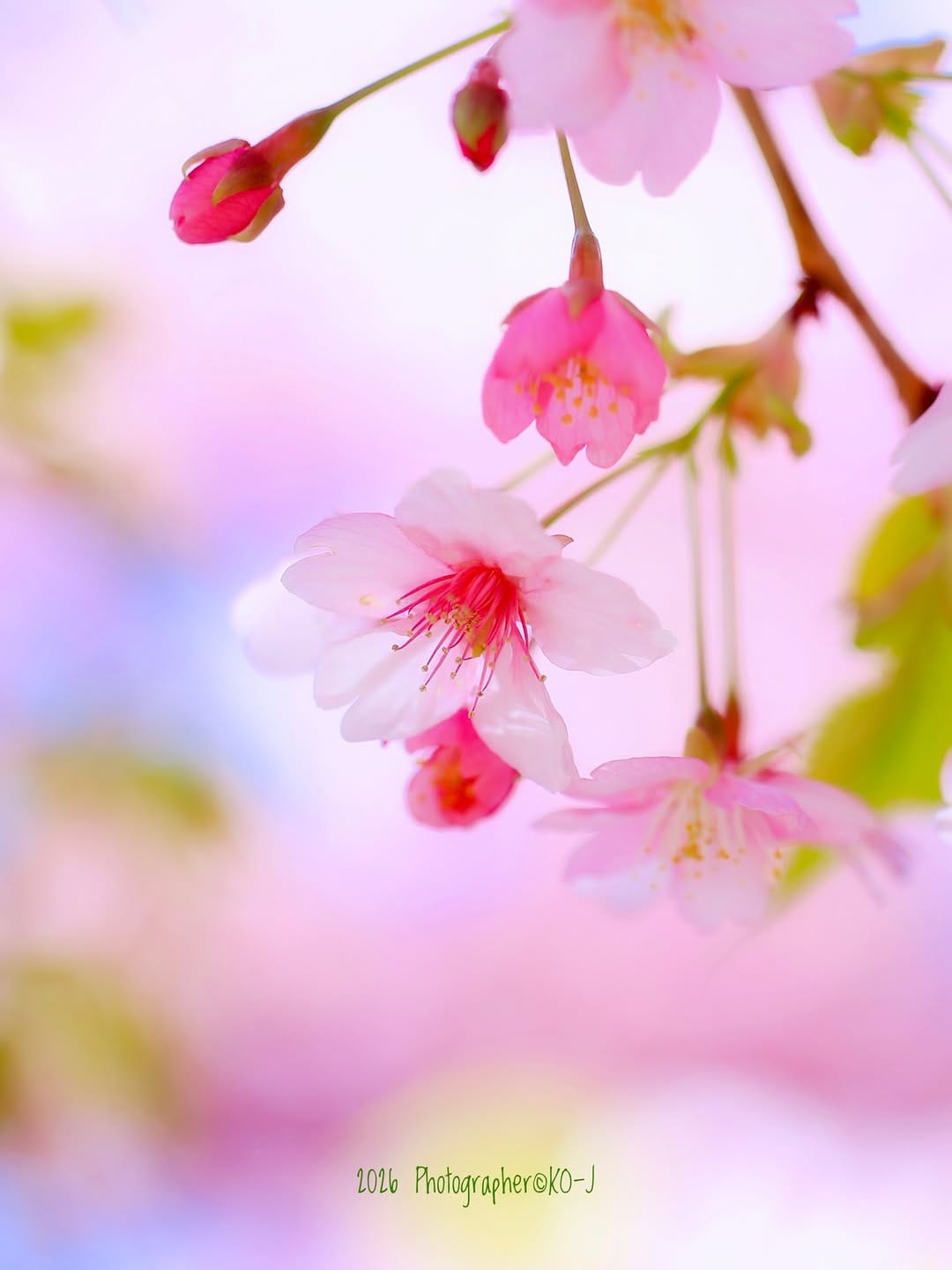 Post 6 by KO-J on Instagram (image)