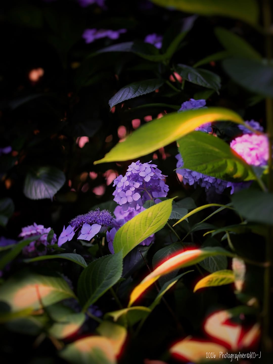 Post 2 by KO-J on Instagram (image)