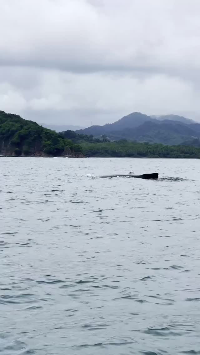 Post 1 by Nito - Surcos Tours on Instagram (video)