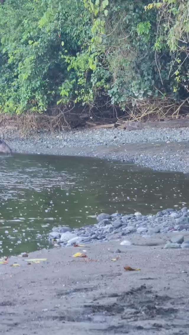Post 9 by Nito - Surcos Tours on Instagram (video)