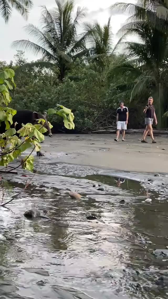 Post 8 by Nito - Surcos Tours on Instagram (video)