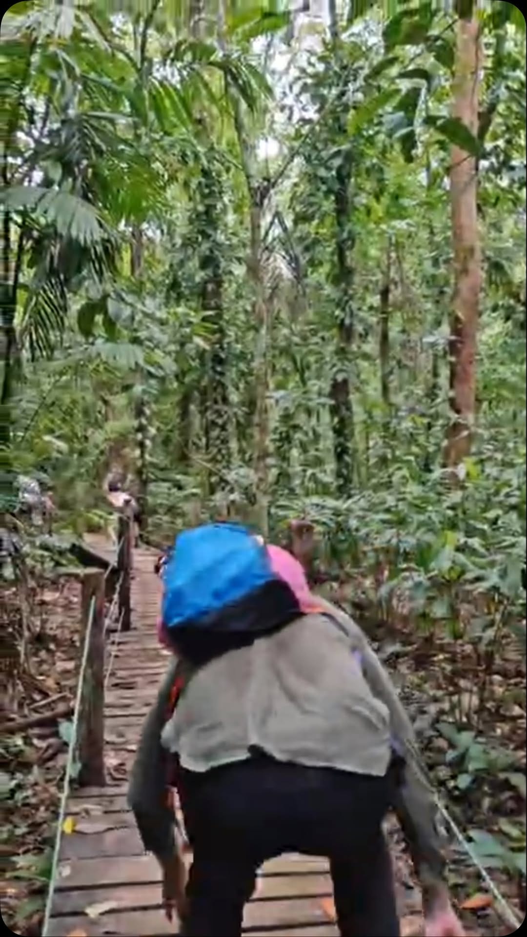 Post 3 by Nito - Surcos Tours on Instagram (video)