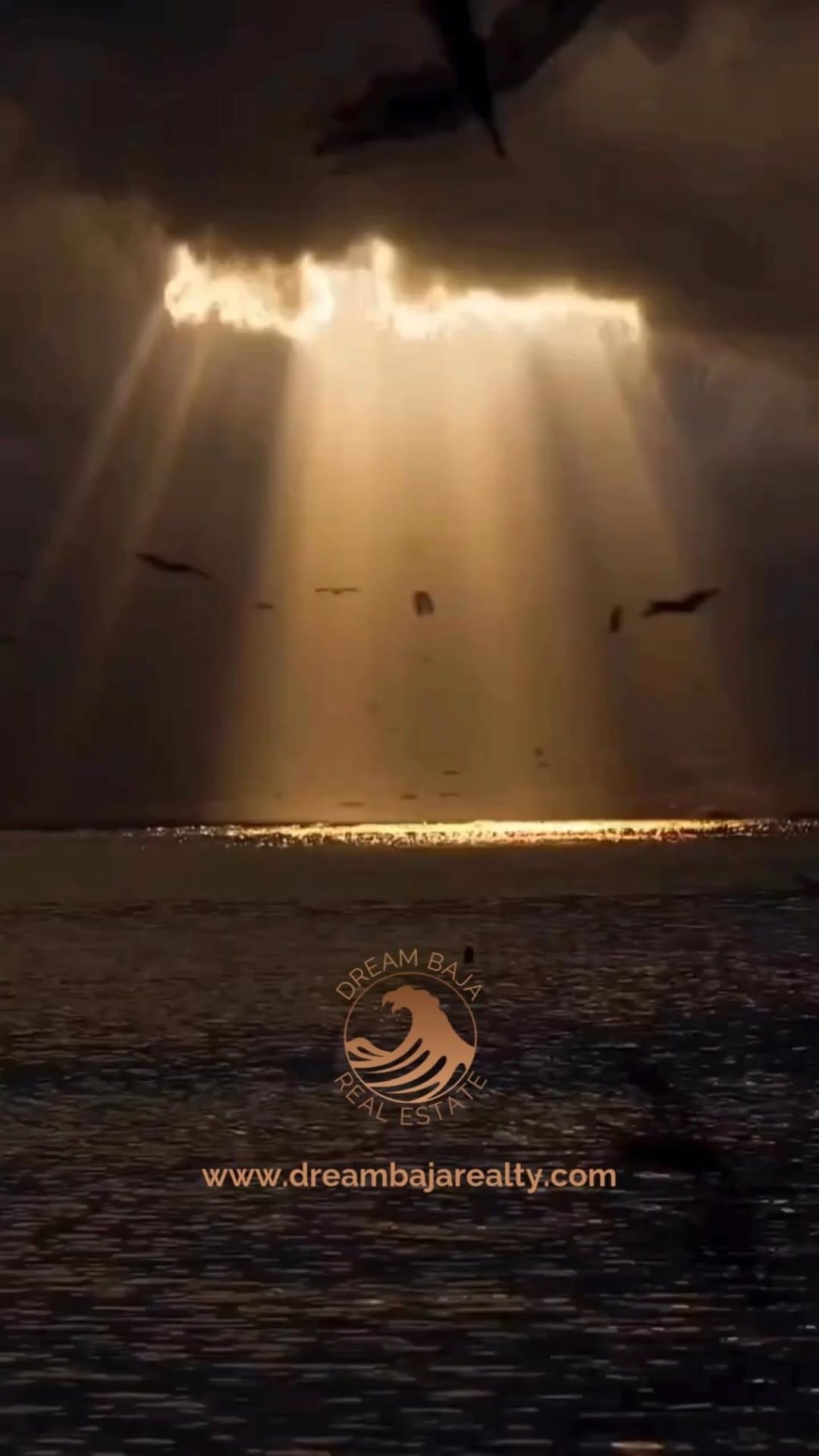 Post 5 by Ian Wilson I La Paz Mexico Realtor on Instagram (video)
