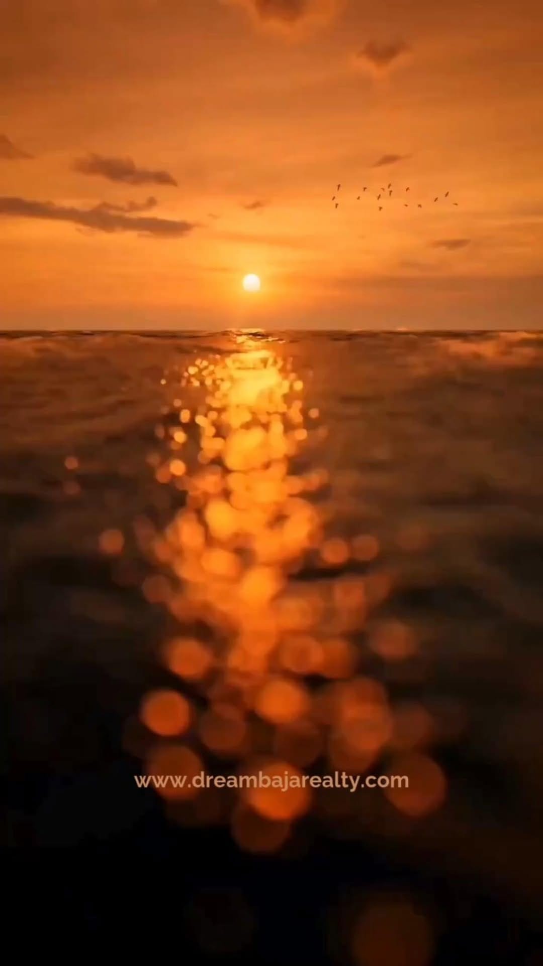 Post 9 by Ian Wilson I La Paz Mexico Realtor on Instagram (video)
