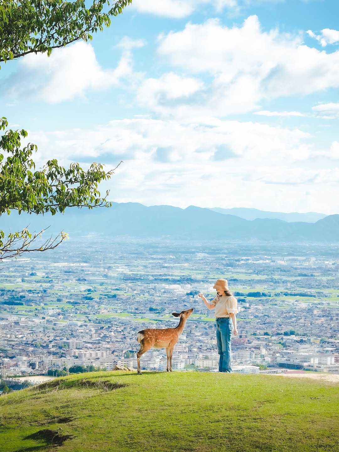 Post 6 by Miho Tokiwa on Instagram (image)