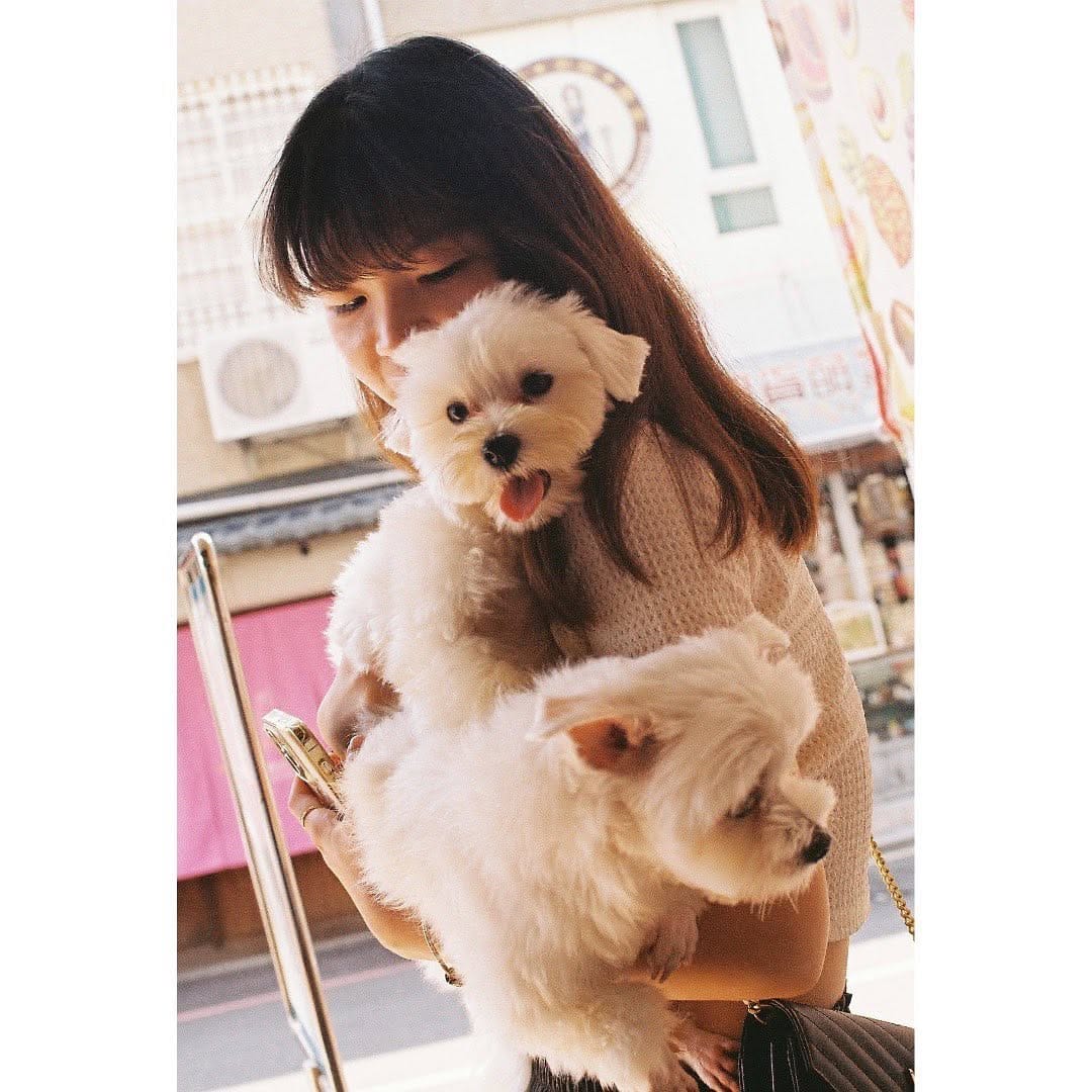 Post 7 by 砂つぶ on Instagram (carousel)