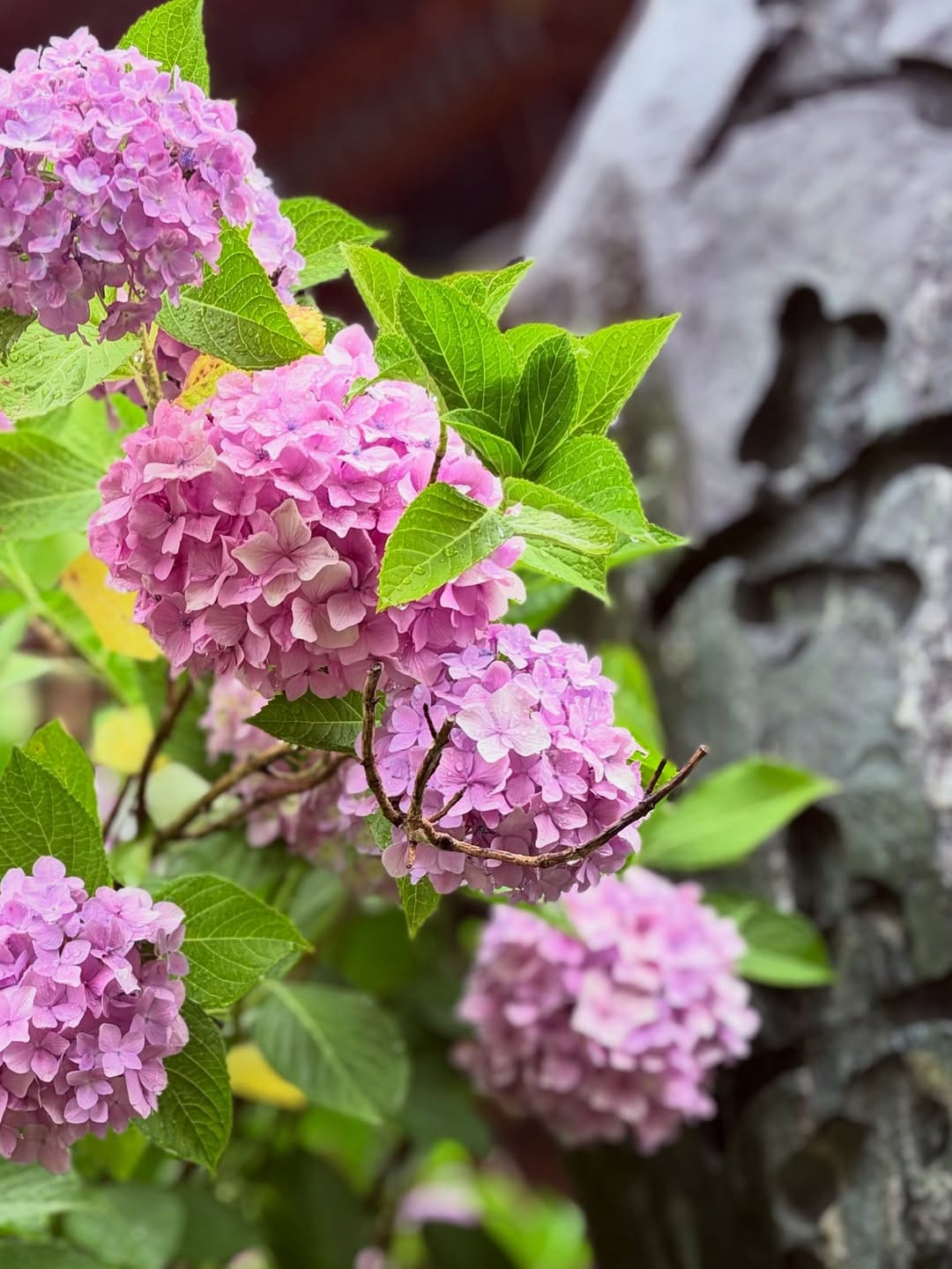 Post 2 by Yoshio Hatano on Instagram (image)