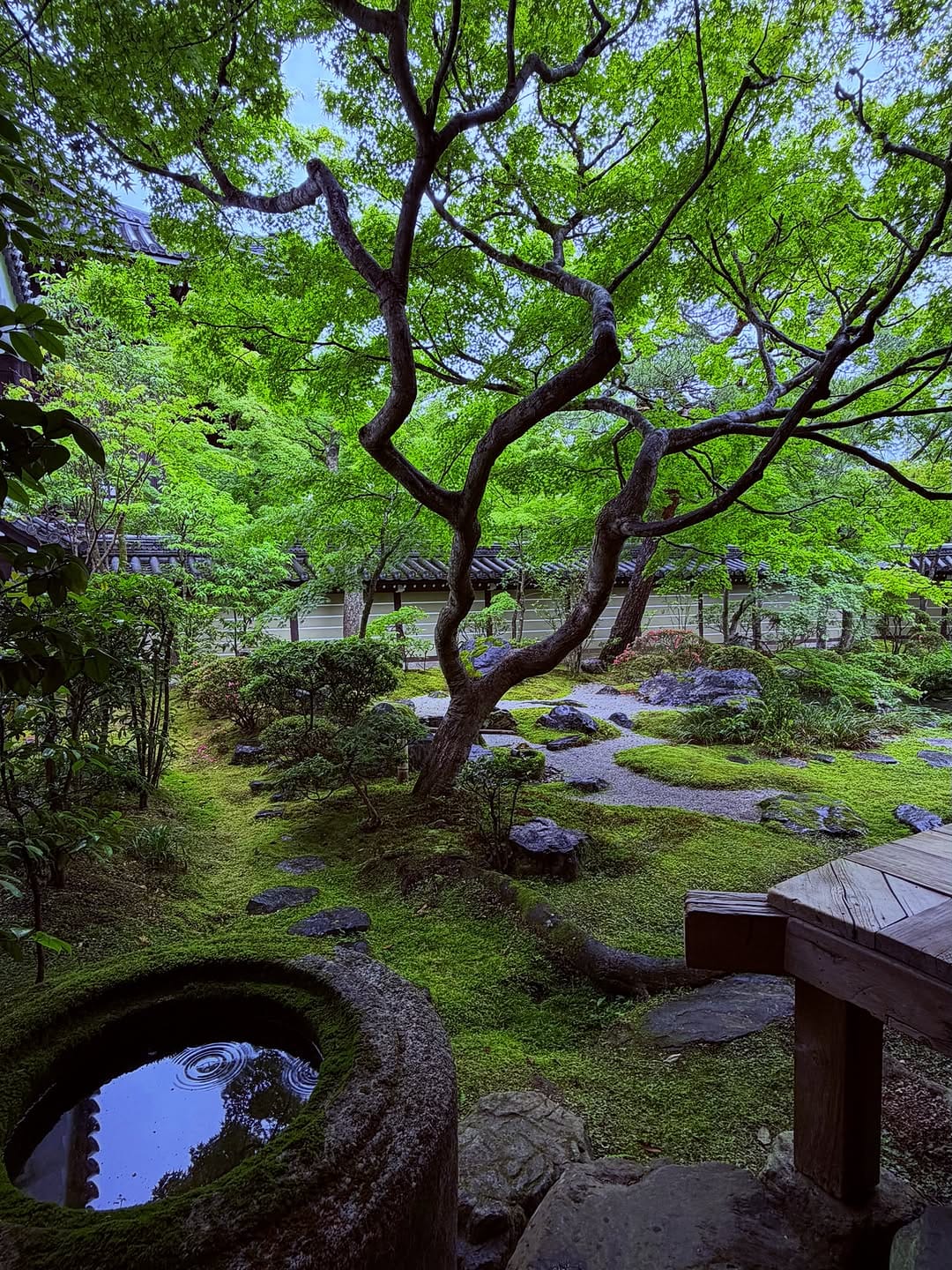 Post 10 by Yoshio Hatano on Instagram (image)