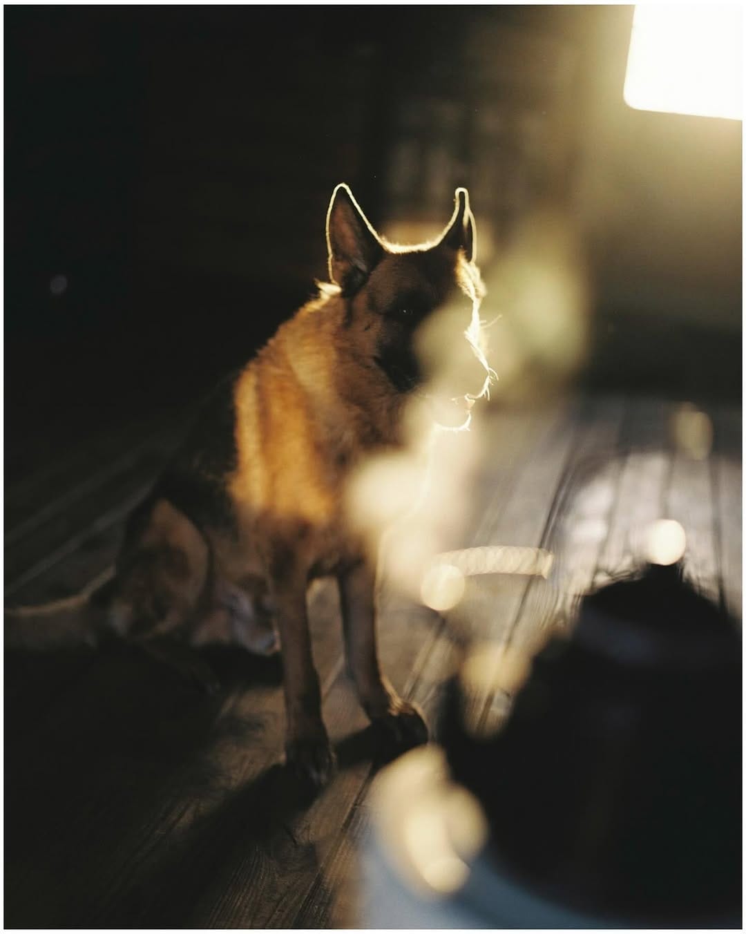 Post 7 by 中道 智大| Tomohiro Nakamichi on Instagram (image)