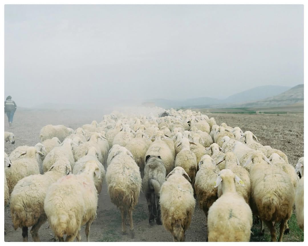 Post 10 by 中道 智大| Tomohiro Nakamichi on Instagram (image)