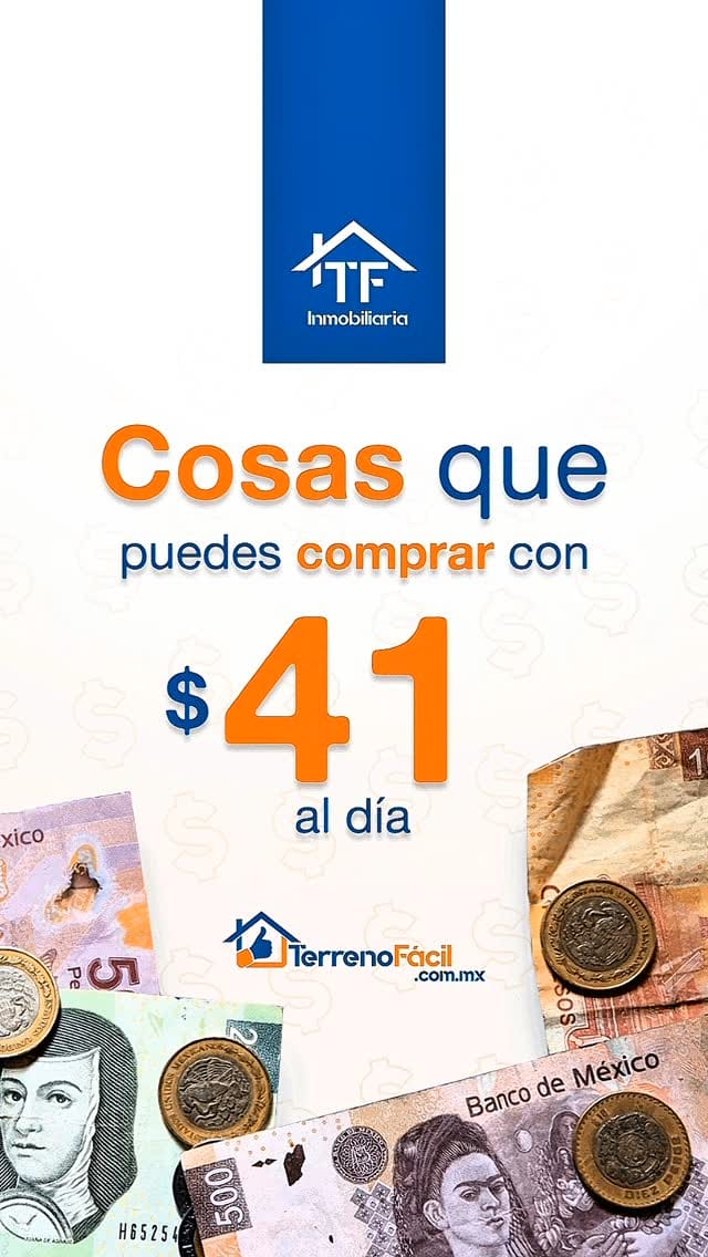 Post 3 by Terreno Fácil on Instagram (video)
