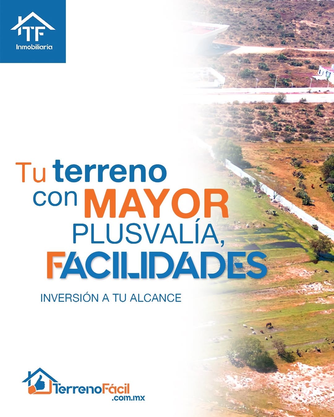 Post 8 by Terreno Fácil on Instagram (image)