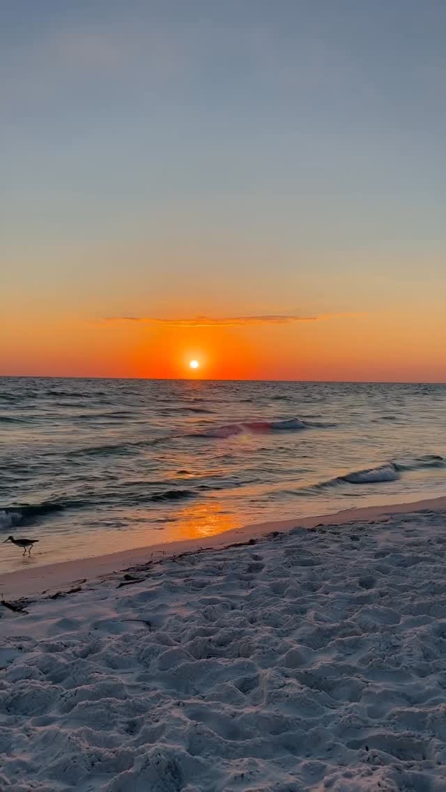 Post 3 by Shoreline Rentals & Management on Instagram (video)