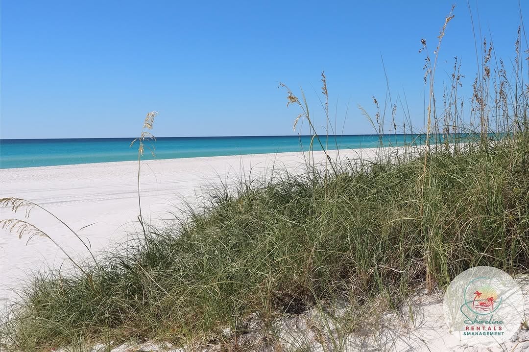 Post 1 by Shoreline Rentals & Management on Instagram (carousel)