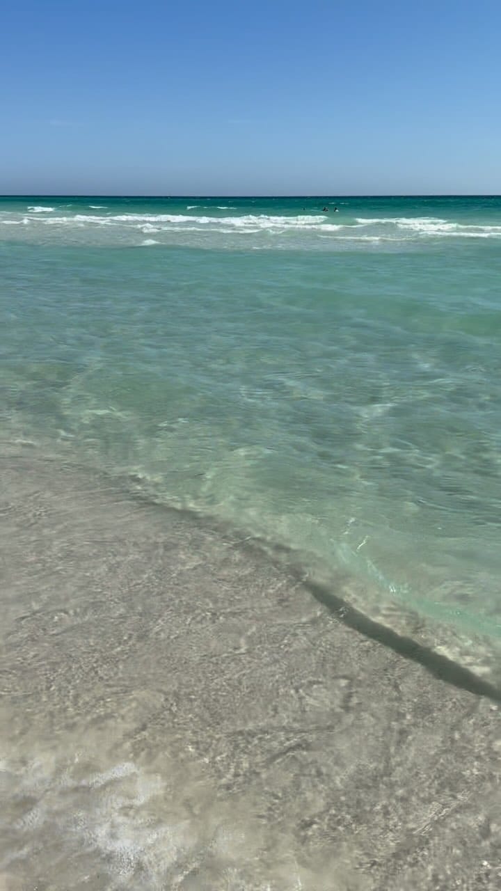 Post 6 by Shoreline Rentals & Management on Instagram (video)