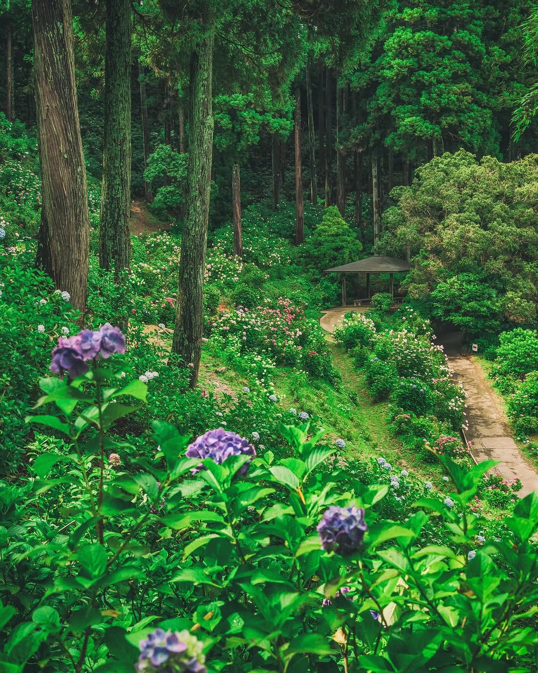 Post 5 by yasushi 🇯🇵 on Instagram (image)