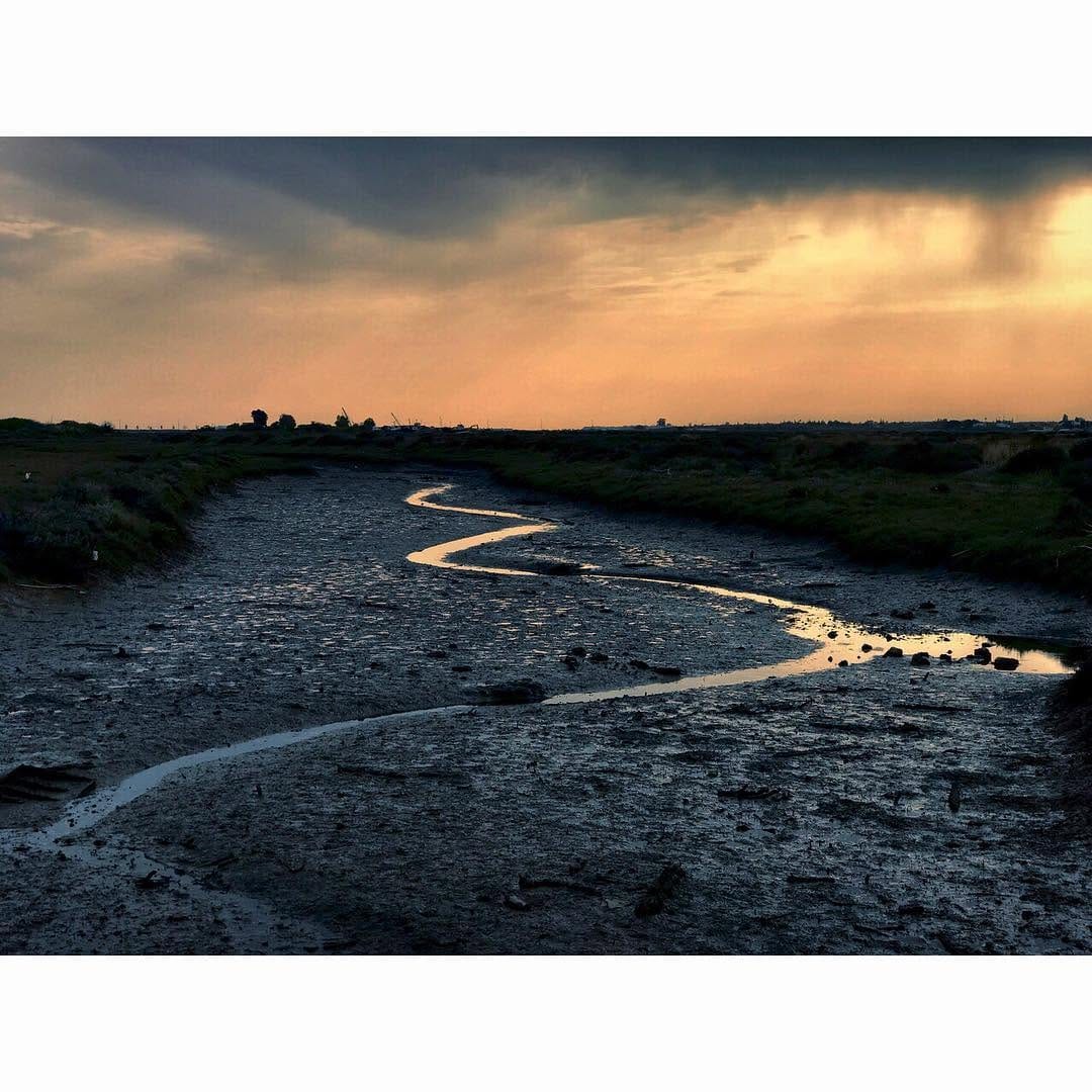 Post 2 by ᴀᴠᴀʟᴏɴ on Instagram (image)