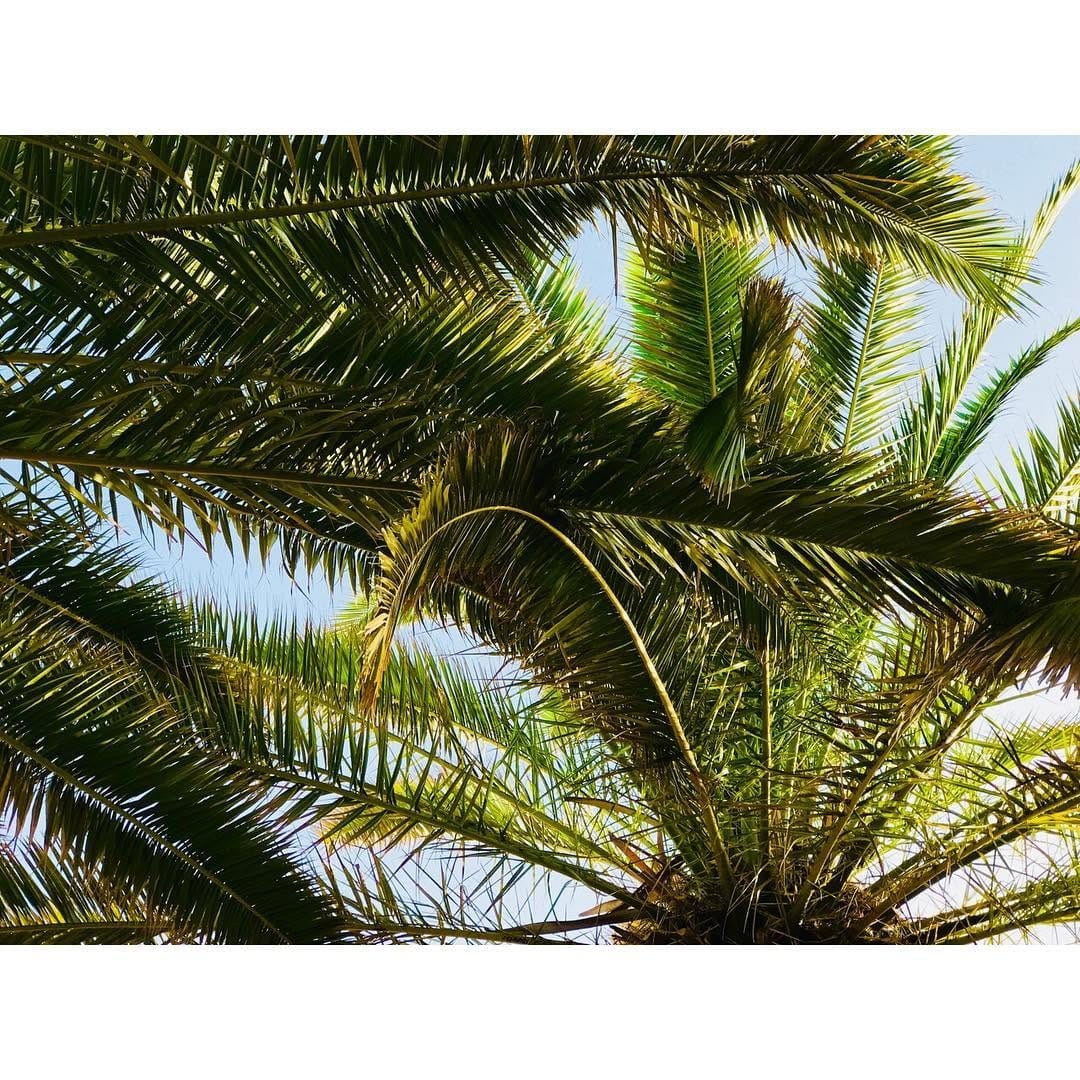 Post 1 by ᴀᴠᴀʟᴏɴ on Instagram (image)