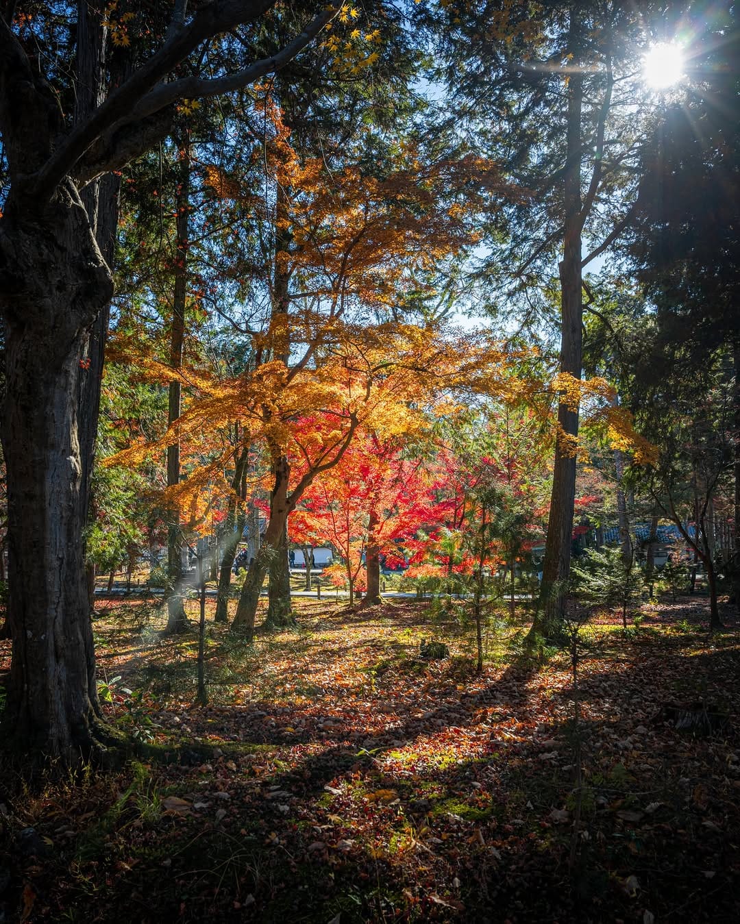 Post 10 by ゆうま【冒険中】🇯🇵 on Instagram (image)