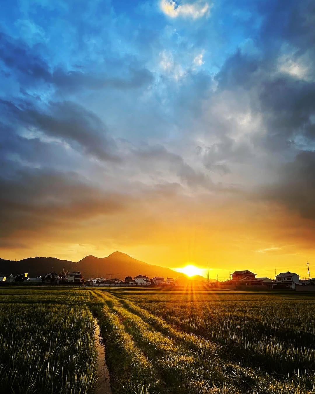 Post 10 by ふくりゅう【Fukuryu】| Photographer on Instagram (image)