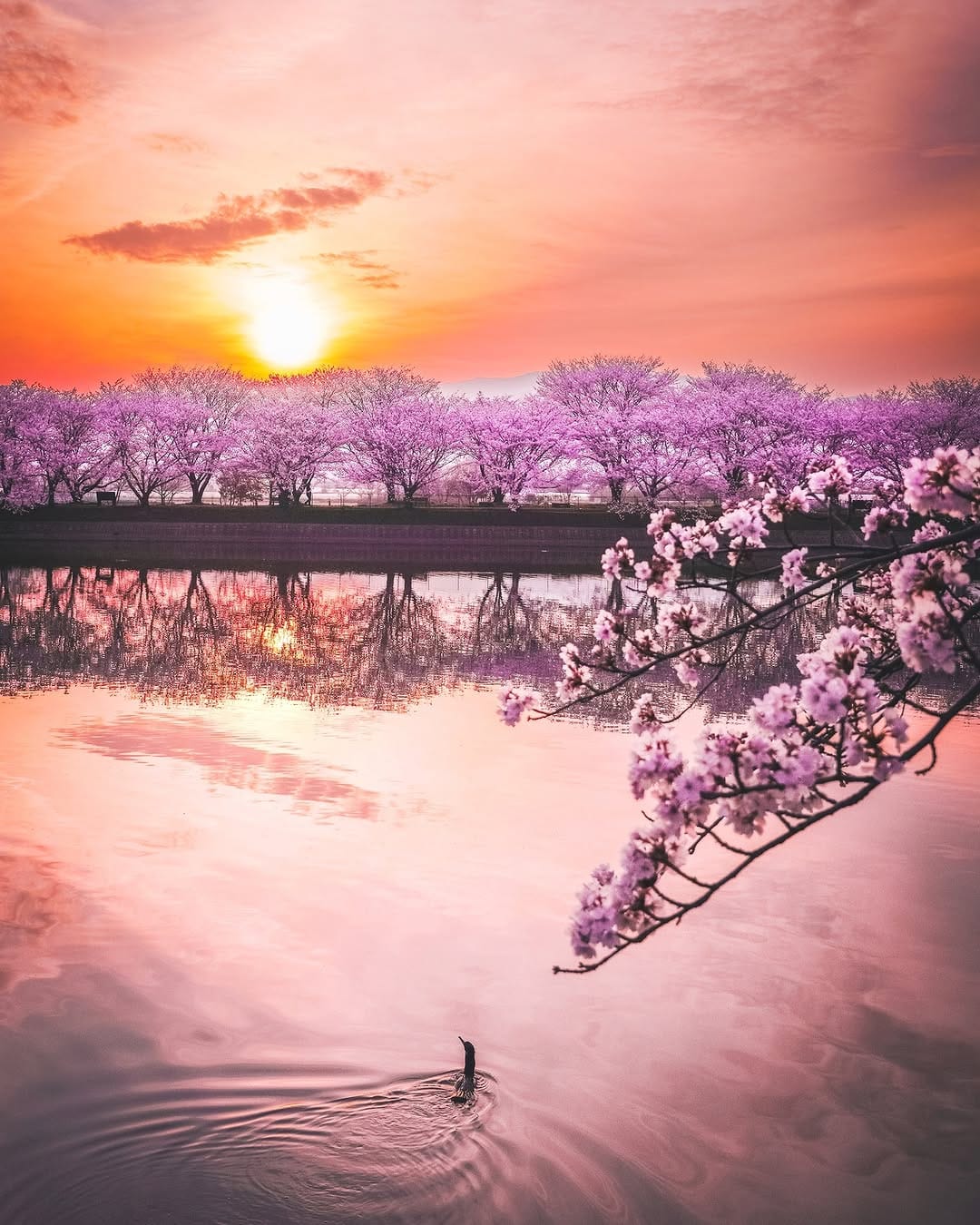 Post 8 by ふくりゅう【Fukuryu】| Photographer on Instagram (image)