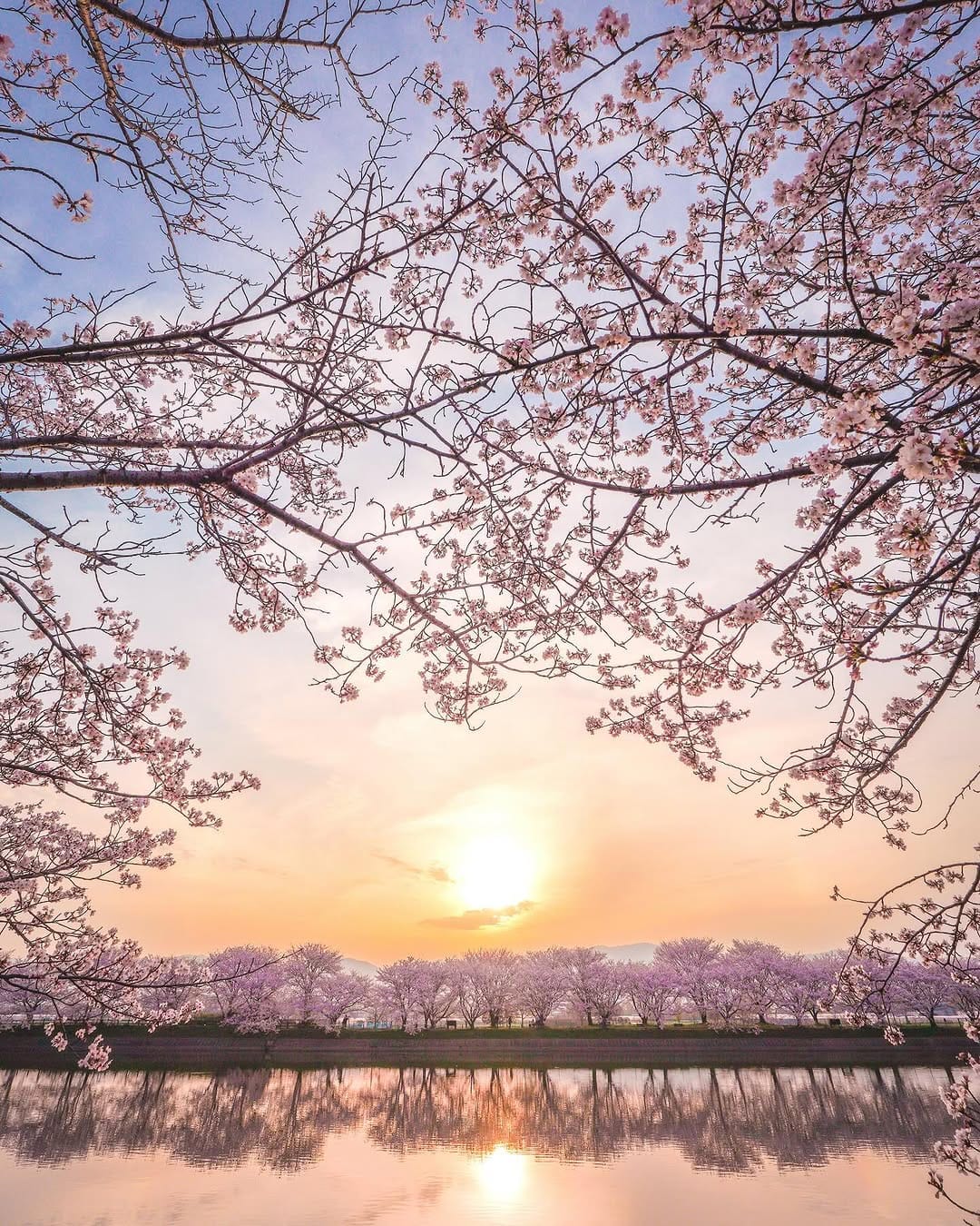Post 7 by ふくりゅう【Fukuryu】| Photographer on Instagram (carousel)