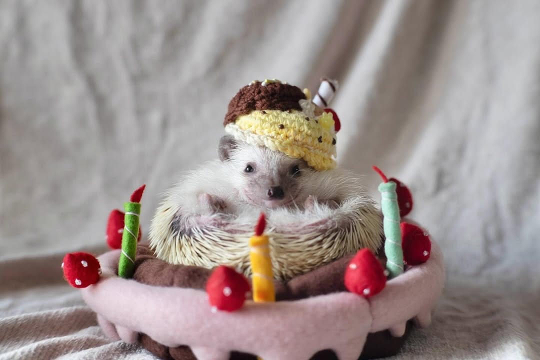 Post 7 by kana okada on Instagram (carousel)