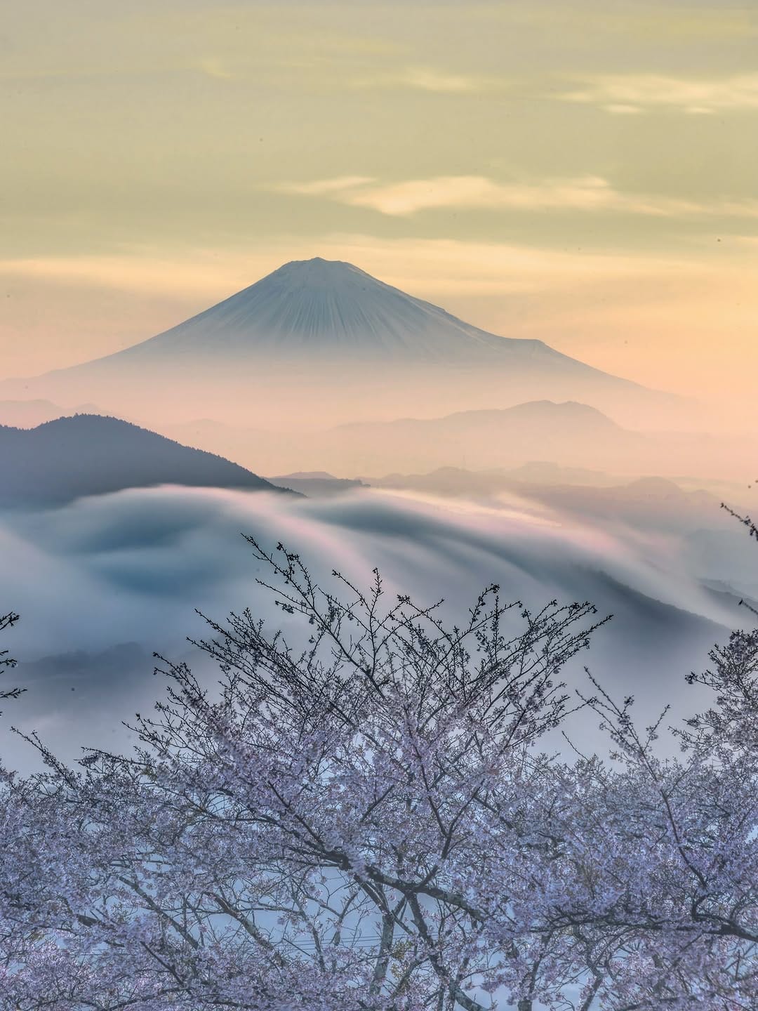 Post 8 by うみさん𝑺𝒉𝒊𝒛𝒖𝒐𝒌𝒂🇯🇵𝑱𝑨𝑷𝑨𝑵 on Instagram (image)